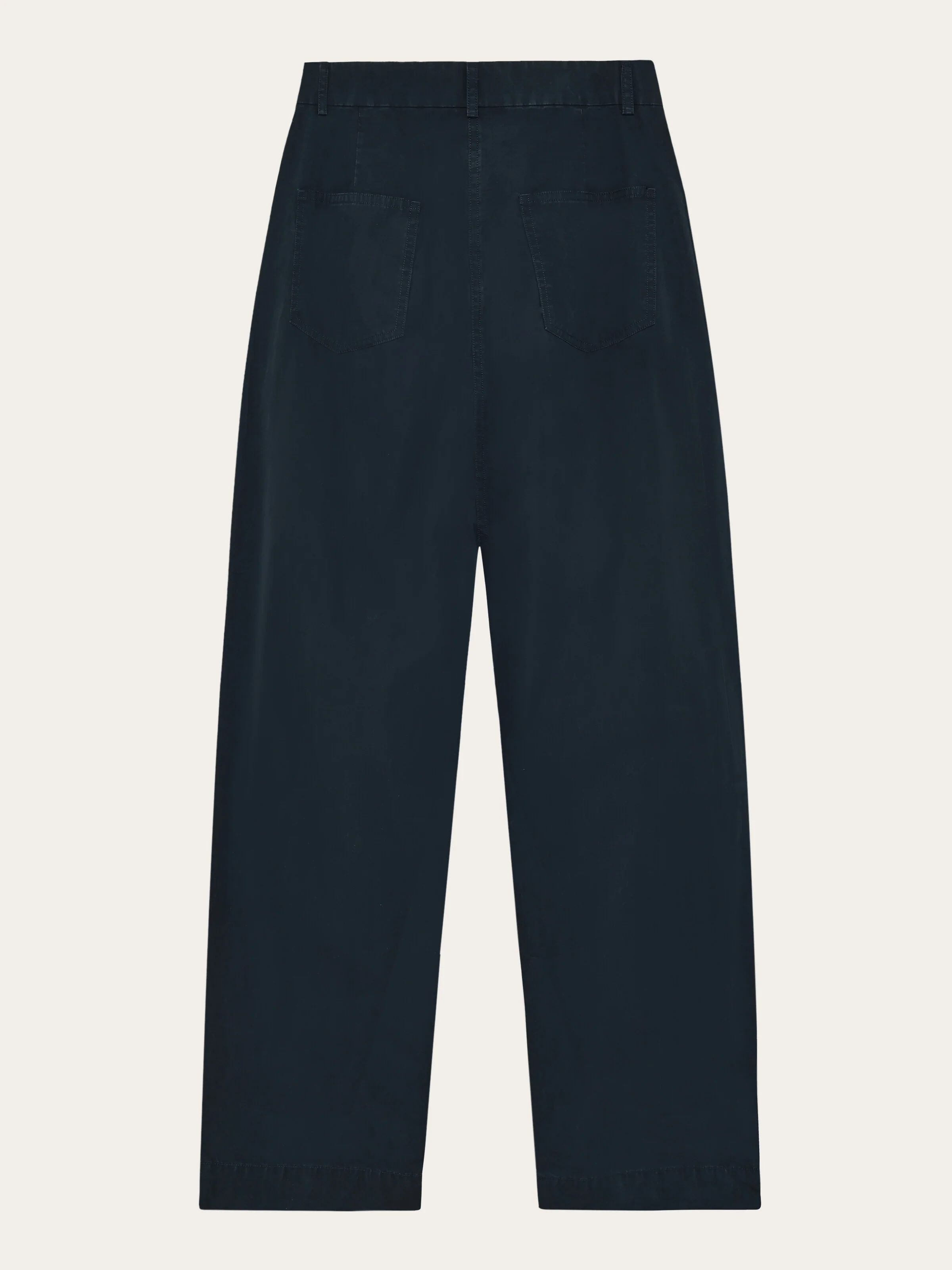 Poplin pleat pants - Total Eclipse - Image 3
